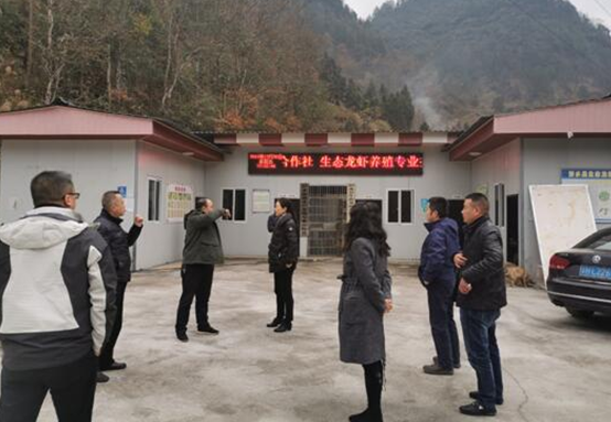 彭水县经济总量_彭水县图片(2)